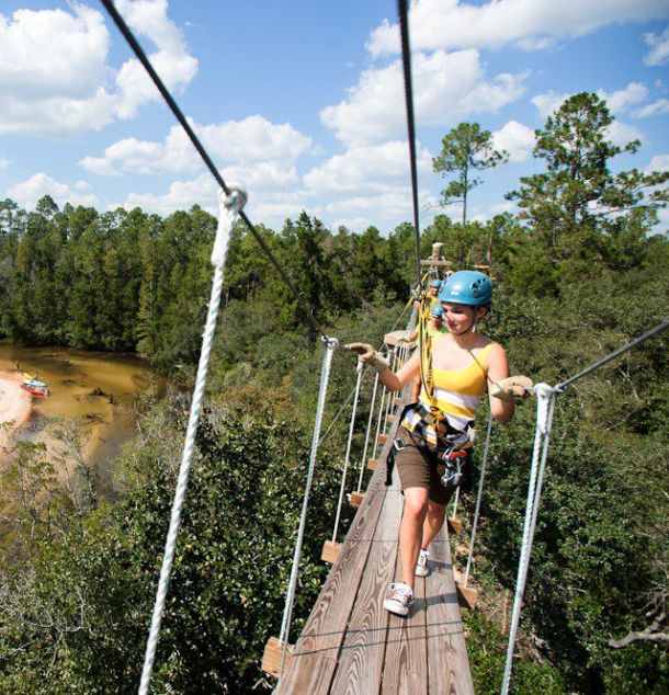 Zip Line Adventures